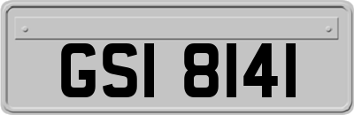 GSI8141
