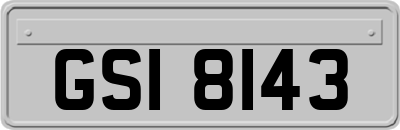 GSI8143