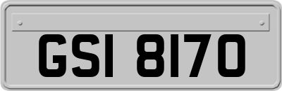 GSI8170