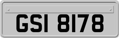 GSI8178