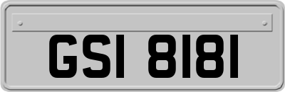 GSI8181