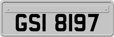GSI8197