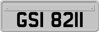 GSI8211