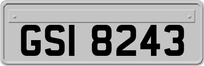 GSI8243