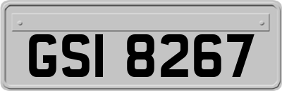 GSI8267