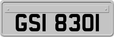 GSI8301