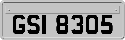 GSI8305