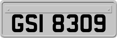 GSI8309
