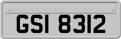 GSI8312