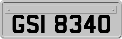 GSI8340