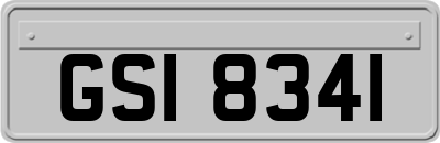 GSI8341