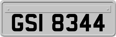 GSI8344