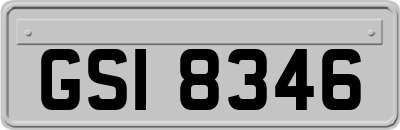 GSI8346