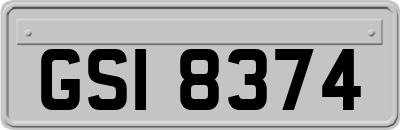 GSI8374