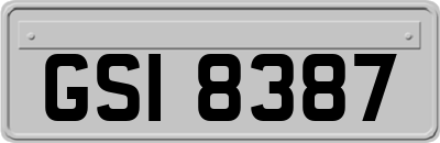 GSI8387