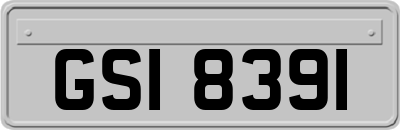 GSI8391