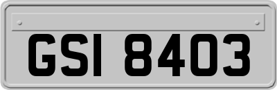 GSI8403