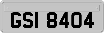 GSI8404