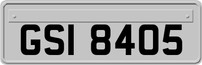 GSI8405