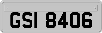 GSI8406