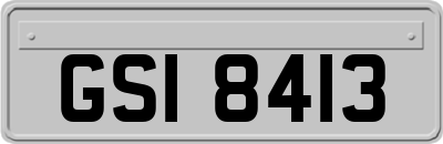 GSI8413