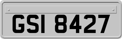 GSI8427