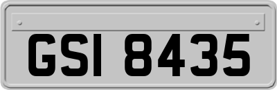 GSI8435