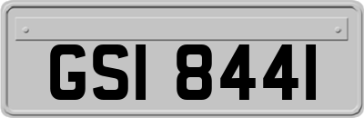 GSI8441