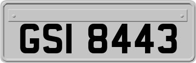GSI8443