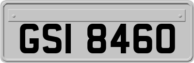 GSI8460