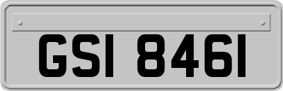 GSI8461