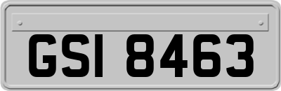 GSI8463