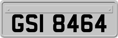 GSI8464