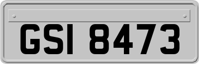 GSI8473