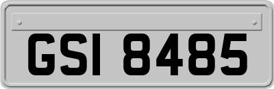 GSI8485