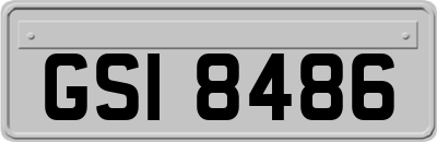 GSI8486