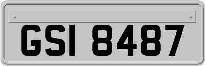 GSI8487