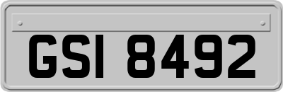 GSI8492