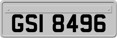 GSI8496