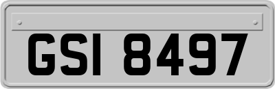 GSI8497