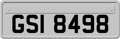 GSI8498