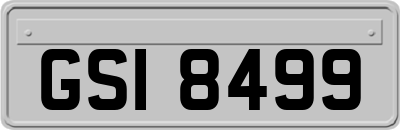 GSI8499