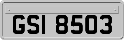 GSI8503