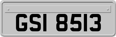 GSI8513