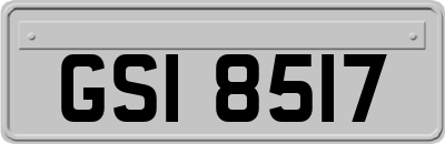 GSI8517