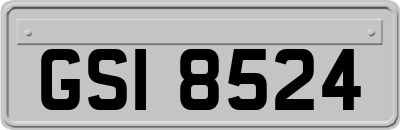 GSI8524