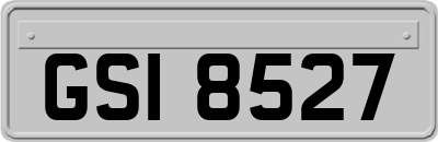 GSI8527