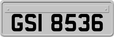 GSI8536