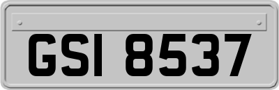GSI8537