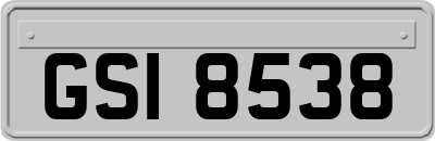 GSI8538